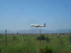 Flight landing at Palma Airport